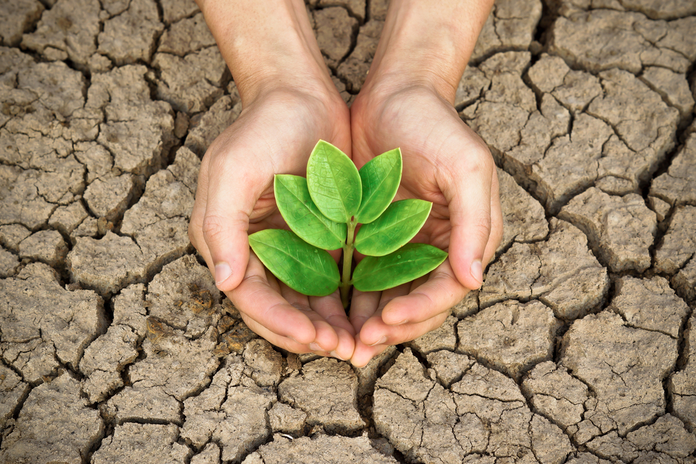 <p>SOCIAL AND ENVIRONMENTAL RESPONSIBILITIES</p>